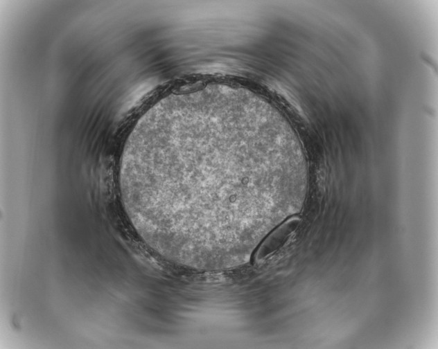 X0000095890968200802011103