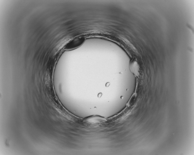 X0000095890969200802011103