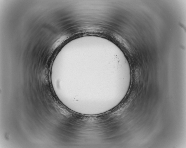 X0000095890970200802011103