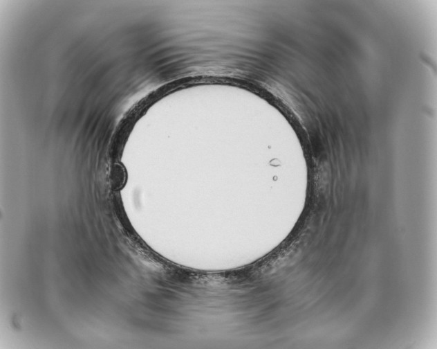 X0000095890971200802011103