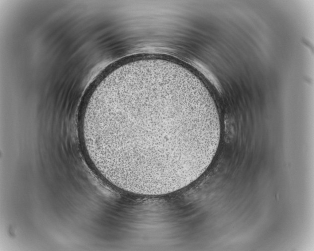 X0000095890972200802011103