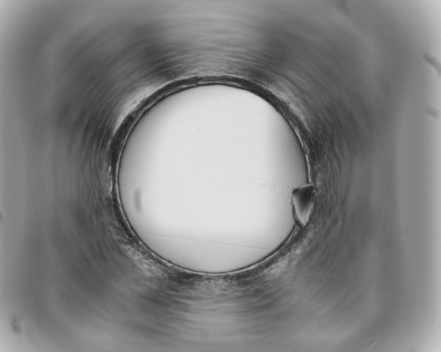 X0000095890973200802011103