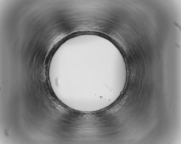 X0000095890974200802011103