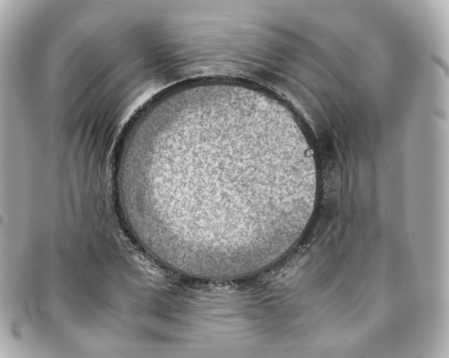 X0000095890975200802011103