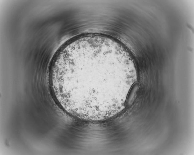 X0000095890976200802011103