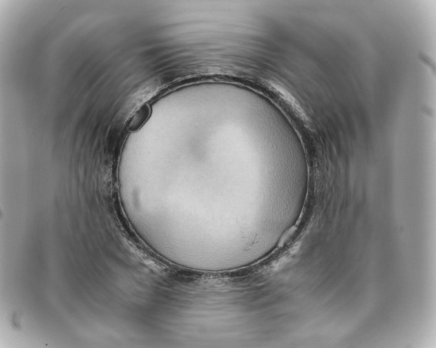 X0000095890977200802011103