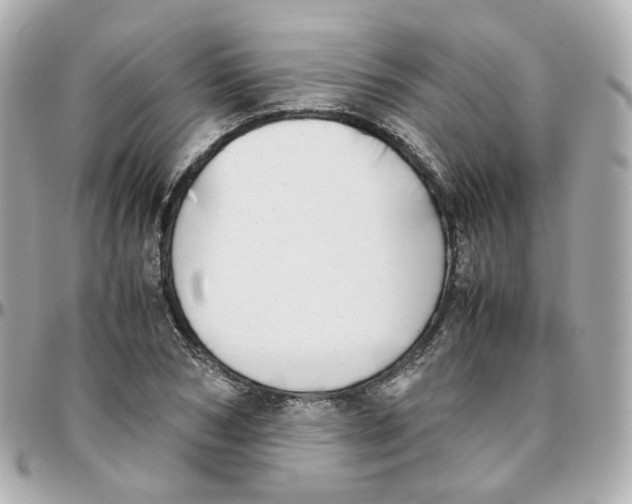 X0000095890978200802011103