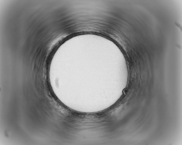 X0000095890979200802011103