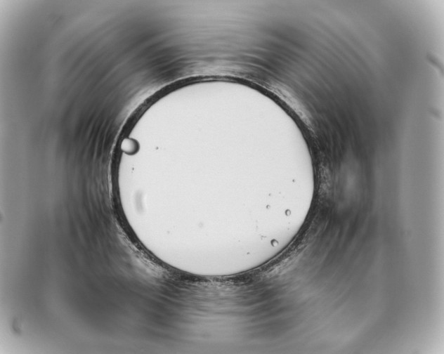 X0000095890980200802011103