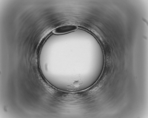 X0000095890981200802011103