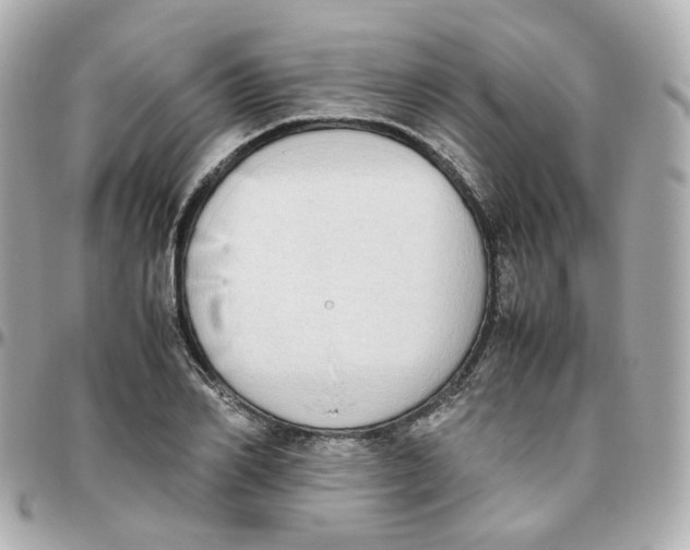 X0000095890982200802011103