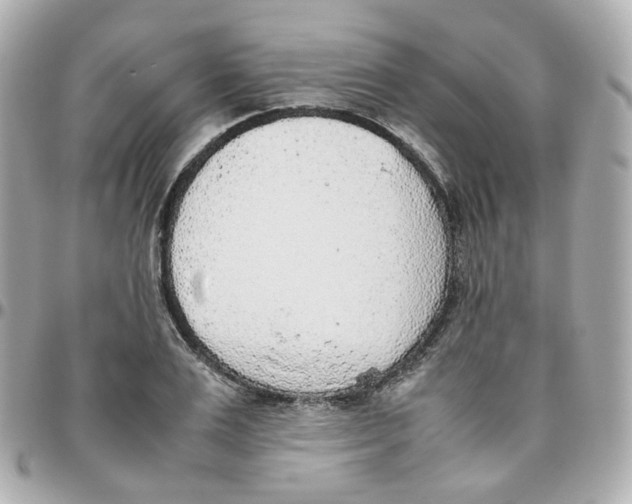 X0000095890983200802011103