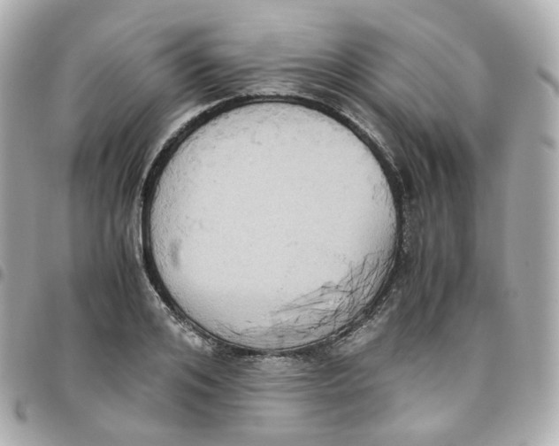 X0000095890984200802011103