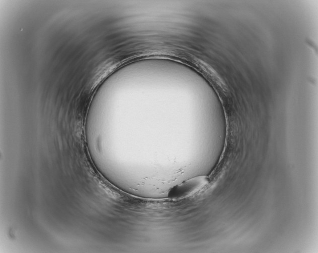 X0000095890985200802011103