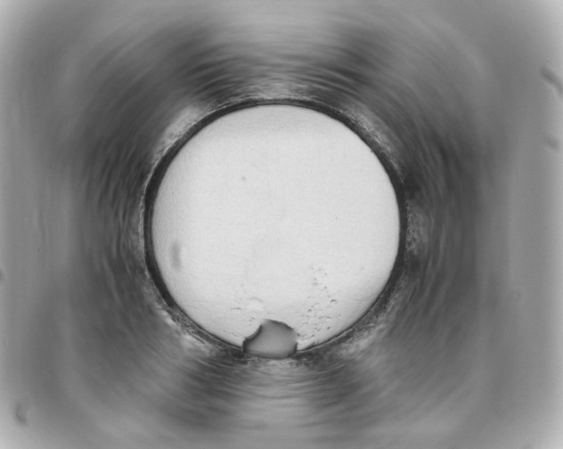 X0000095890986200802011103