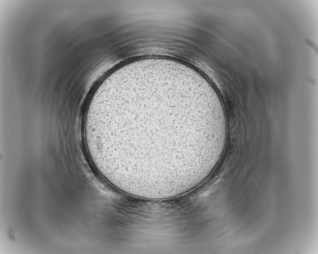 X0000095890987200802011103