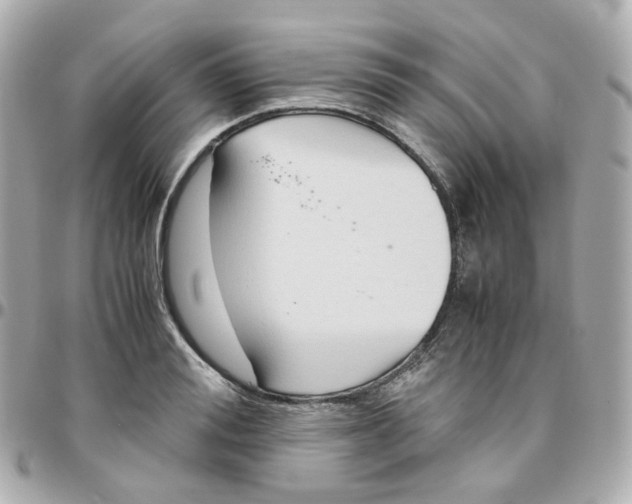 X0000095890988200802011103