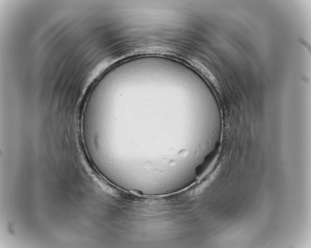 X0000095890989200802011103