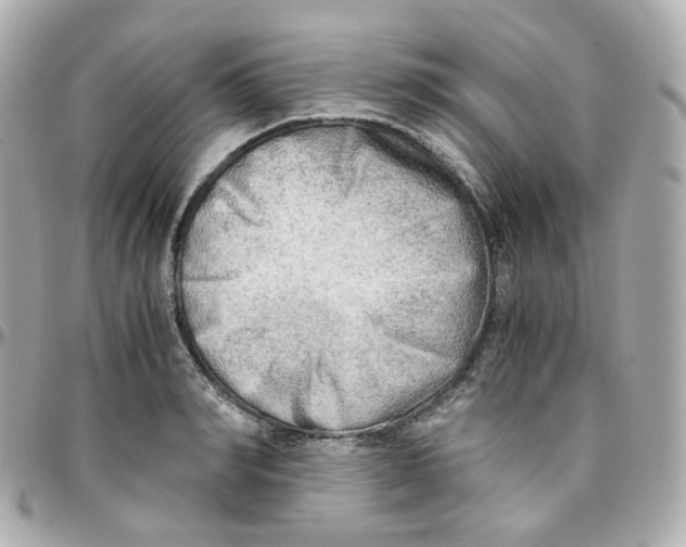 X0000095890990200802011103