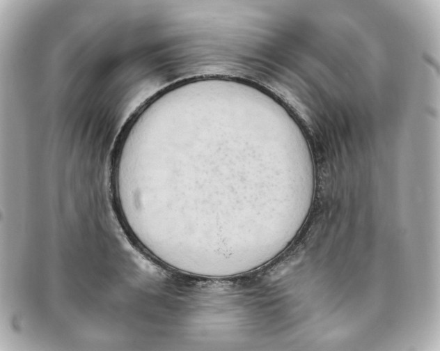 X0000095890991200802011103