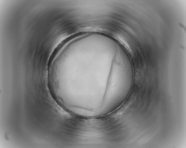 X0000095890992200802011103