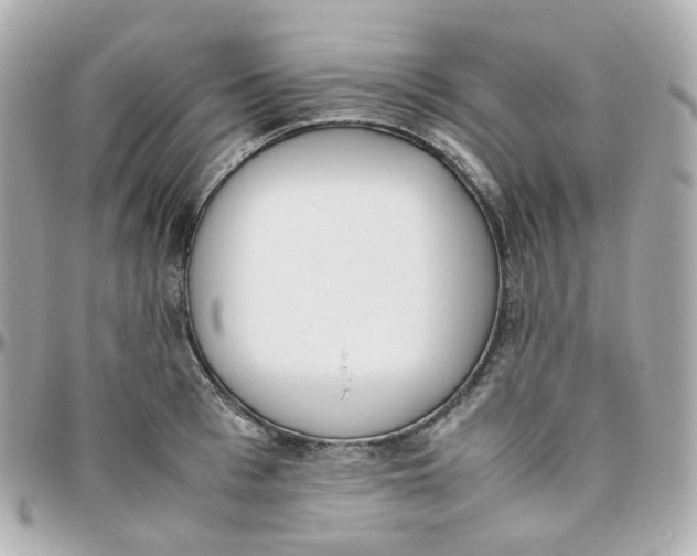 X0000095890993200802011103