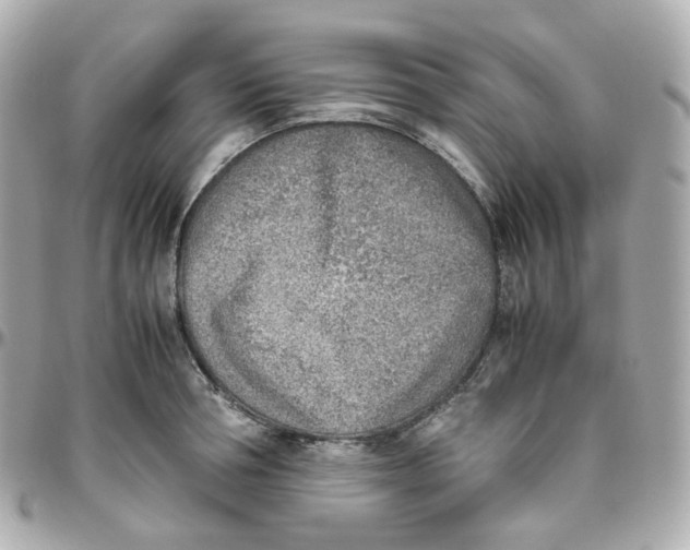 X0000095890994200802011103