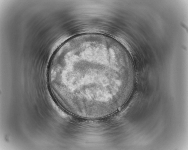 X0000095890995200802011103