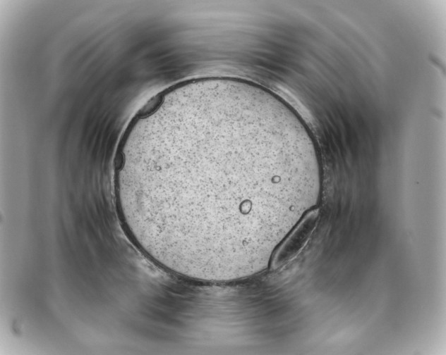 X0000095890996200802011103