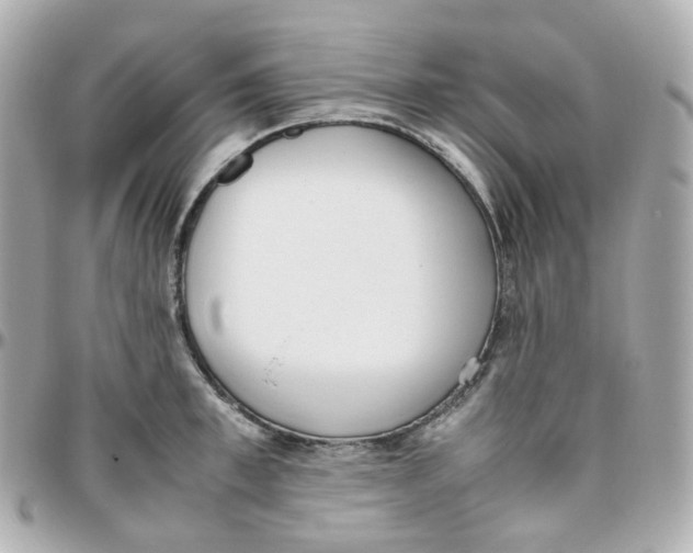 X0000095890997200802011103