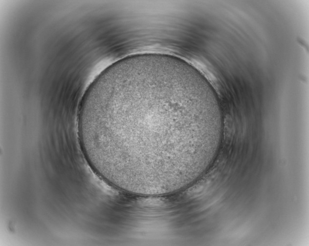 X0000095890998200802011103