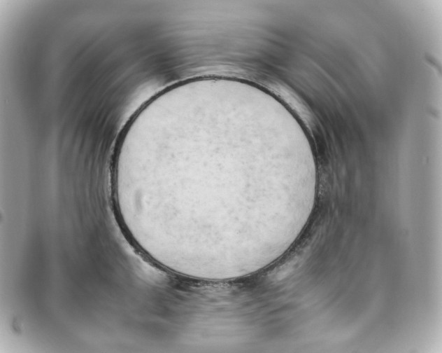 X0000095890999200802011103