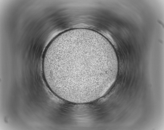 X0000095891000200802011103