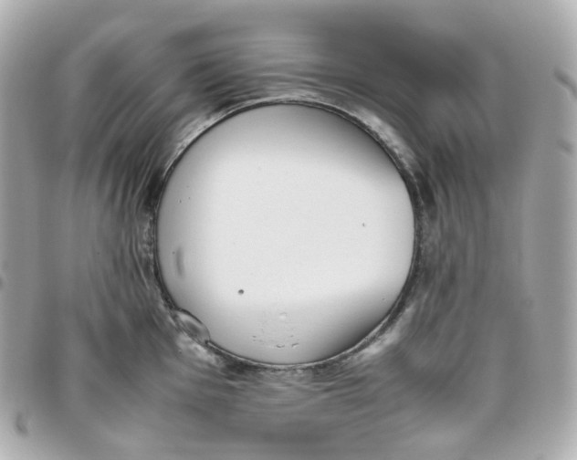 X0000095891001200802011103