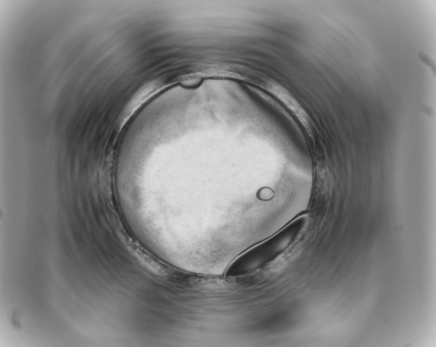 X0000095891002200802011103