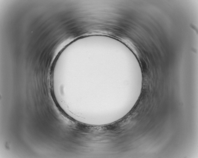 X0000095891003200802011103