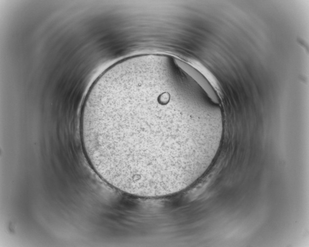 X0000095891004200802011103