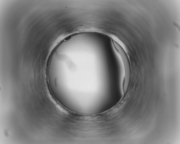 X0000095891005200802011103