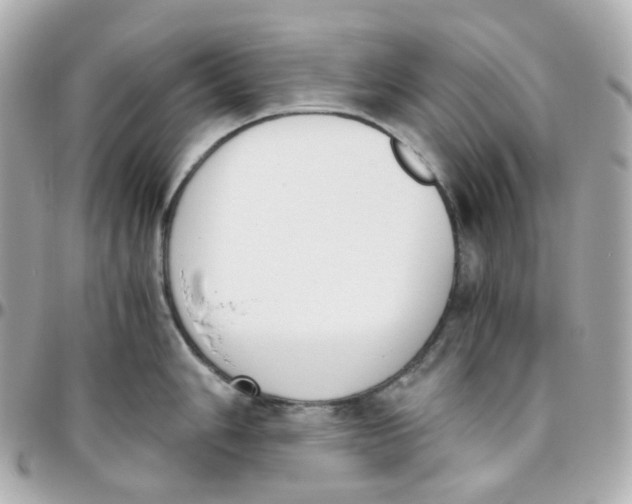 X0000095891006200802011103