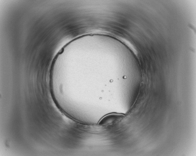 X0000095891007200802011103