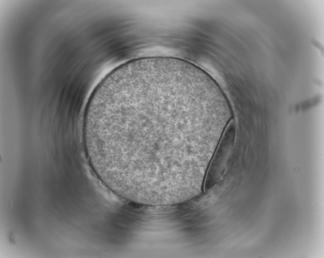 X0000095891008200802011103