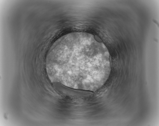 X0000095891009200802011102