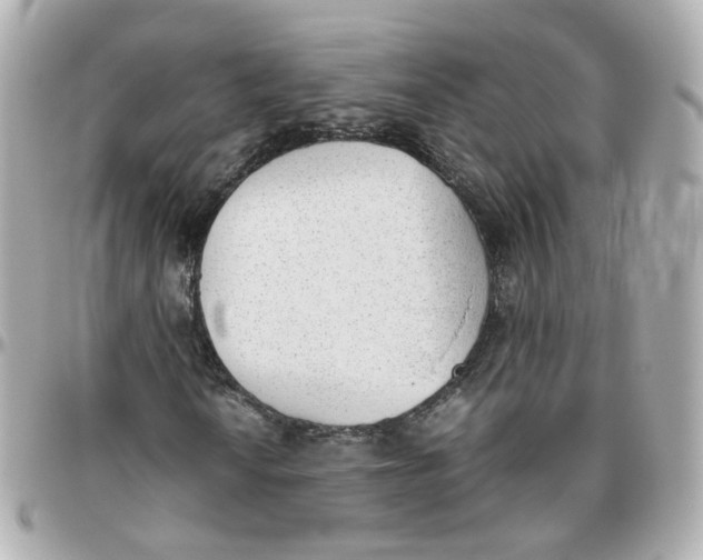 X0000095891010200802011102