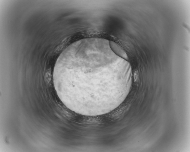 X0000095891011200802011102