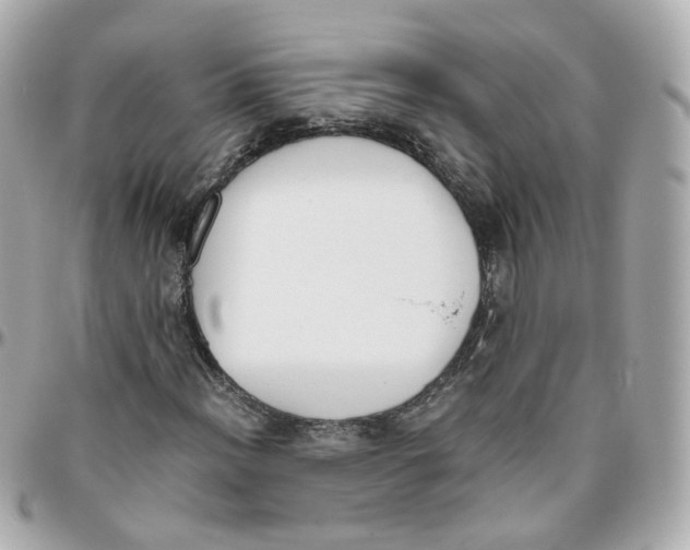 X0000095891012200802011102