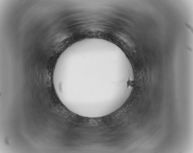 X0000095891013200802011102