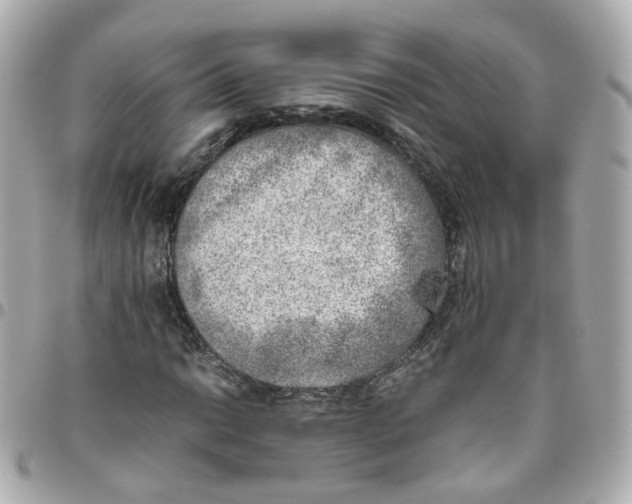 X0000095891014200802011102