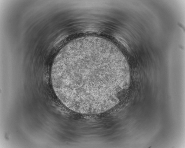 X0000095891015200802011102