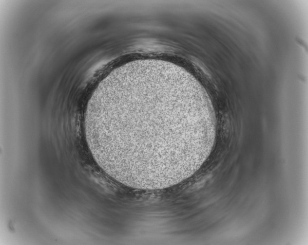 X0000095891016200802011102