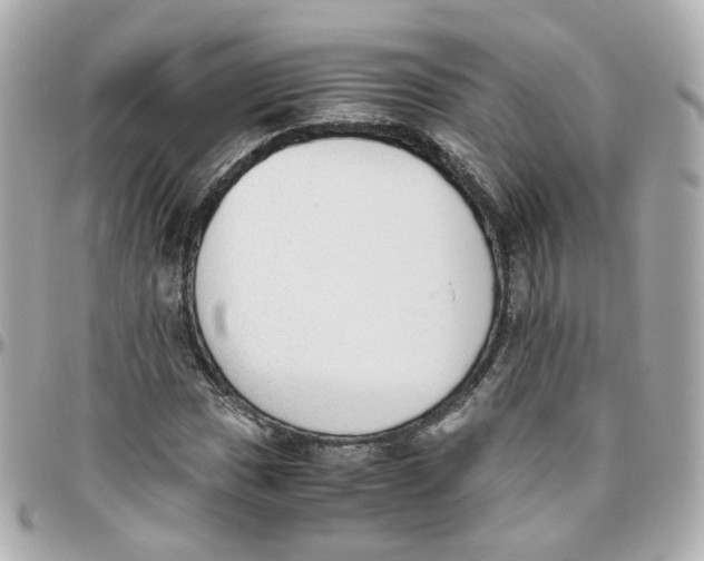 X0000095891017200802011102